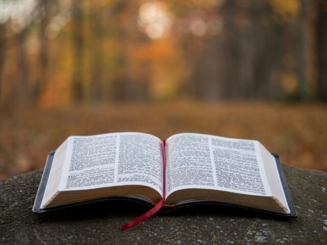 Webinar: Der große Atem. Erschließung und Lektüre zentraler Texte aus Bibel und Spiritualitätsgeschichte