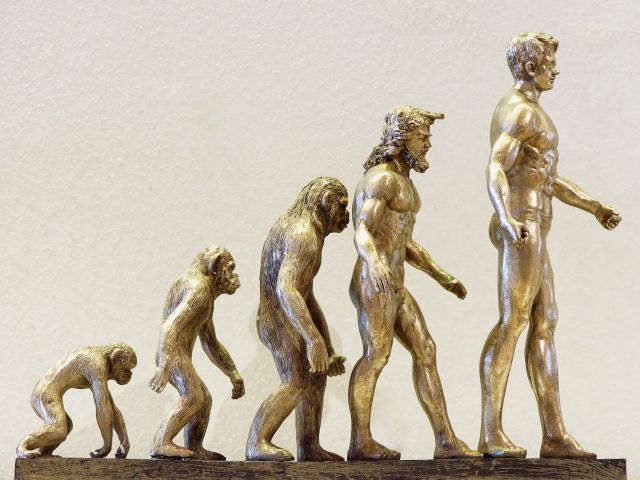 Transformatio – Grunddynamik der Spiritualität in Zeiten der „Veränderungserschöpfung“